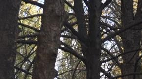 Rusia invadió militarmente Ucrania en febrero de 2022 y no ha cesado en sus ataques y afanes anexionistas.