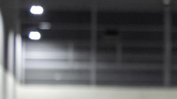 En 2024, el presidente salvadoreño, Nayib Bukele, admitió la liberación de unas 8.000 personas detenidas injustamente bajo el régimen de excepción.