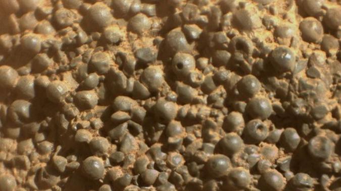 Las formaciones esféricas halladas en "Bahía de San Pablo" recordaron a los científicos los famosos "arándanos marcianos" descubiertos por Opportunity en 2004.