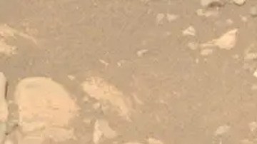 La misteriosa "Skull Hill" destacó por su color oscuro y textura llena de hoyos entre las rocas claras del cráter Jezero.