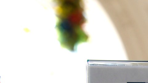 La TSA difunde  información en aeropuertos sobre la REAL ID.