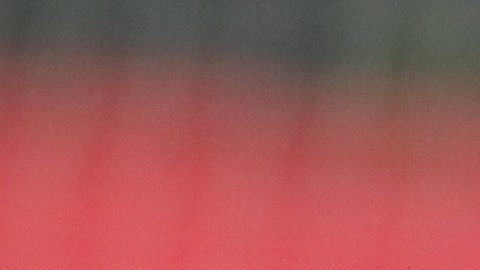 Almeyda conquistó cinco títulos con las Chivas.