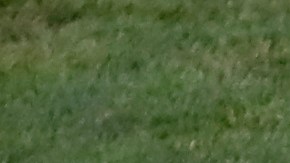 Referee Cesar Ramos from Mexico directs the players during the round of 16 match between Uruguay and Portugal at the 2018 soccer World Cup at the Fisht Stadium in Sochi, Russia, Saturday, June 30, 2018. (AP Photo/Darko Vojinovic)