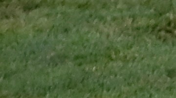 Referee Cesar Ramos from Mexico directs the players during the round of 16 match between Uruguay and Portugal at the 2018 soccer World Cup at the Fisht Stadium in Sochi, Russia, Saturday, June 30, 2018. (AP Photo/Darko Vojinovic)