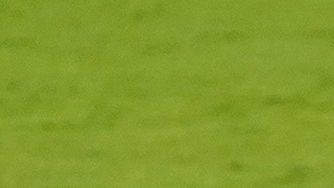 Carlos Vela en una pelota dividida con Sebastián Córdova.