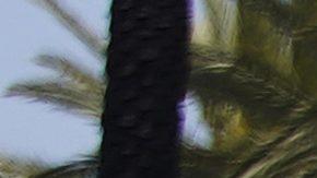 El tradicional Gran Premio de Long Beach, con su inigualable colorido, llegó el domingo a 50 ediciones con una carrera estratégica y sin grandes incidentes.