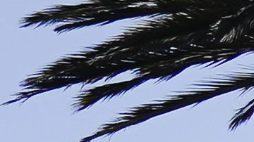 Arrow McLaren SP driver Pato O'Ward, right, and Chip Ganassi Racing driver Kyffin Simpson race during the IndyCar Grand Prix of Long Beach auto race Sunday, April 21, 2024, in Long Beach, Calif. (AP Photo/Ryan Sun)