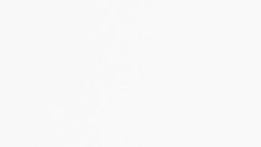 Brain Daniel Pintado celebra en París 2024 tras obtener una medalla de oro.