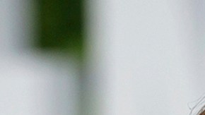 Justin Baldoni critica a Ryan Reynolds por intentar "desestimar" demanda en su contra