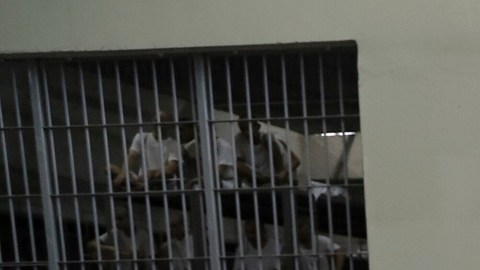 El actual Gobierno de EE.UU. analiza enviar a estadounidenses a una prisión en El Salvador.