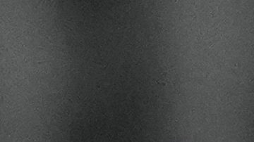 Sergio Conceicao se iría del club al final de temporada.