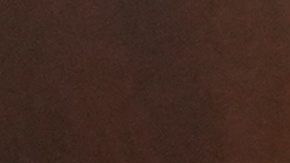 Leopoldo Luque (c), médico de cabecera de Maradona, recibió la propuesta de alterar el expediente clínico.