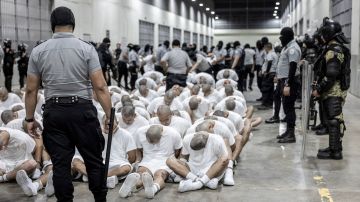 La Administración Trump envió a más de 200 personas a una prisión en El Salvador.