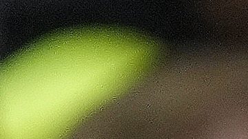 Minnesota Timberwolves minority owner Alex Rodriguez, left, looks on during the second half of an NBA basketball game against the Phoenix Suns, Friday, March 28, 2025, in Minneapolis. (AP Photo/Abbie Parr)