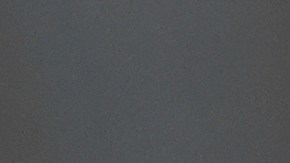 Javier Macherano busca seguir en la Champions Cup.