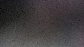 Messi tiene 49 partidos con el Inter Miami.