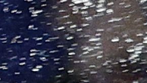 Shohei Ohtani eufórico luego de darle a los Dodgers su octavo triunfo seguido de la temporada con un jonrón en la novena entrada contra Atlanta.