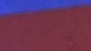 Max Verstappen levanta el trofeo del GP de Japón.