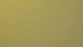 Messi es el líder goleador del Inter Miami en la Concachampions.