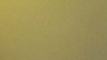 Messi es el líder goleador del Inter Miami en la Concachampions.