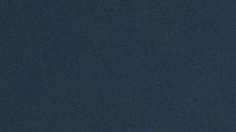 Simone Biles sostiene su reconocimiento.