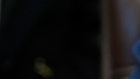El presidente Trump ha firmado 142 órdenes ejecutivas.