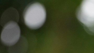 Donald Trump tiene baja aprobación entre votantes hispanos.