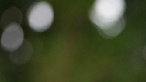 Donald Trump tiene baja aprobación entre votantes hispanos.