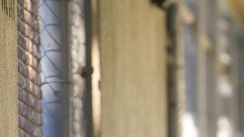 Se estima que más del 80% de niños con discapadidad pueden aprender al mismo nivel que otros niños.