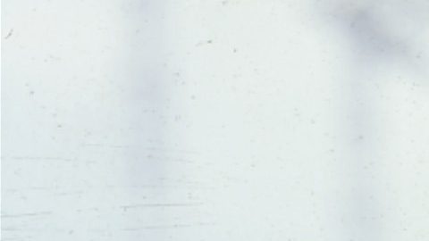 Roberto Clemente, Pittsburgh Pirates outfielder, shown in a posed portrait in 1957. (AP Photo)