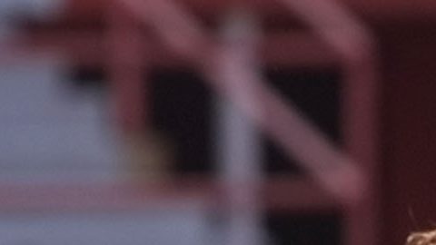 Jorge Bolaño corre detrás de Andreas Moeller durante un partido amistoso entre Colombia y Alemania en 1999.