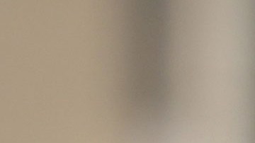 Abbe Lowell, abogado penal