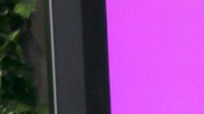 Aleska Génesis contará con protección judicial durante su estancia en México.