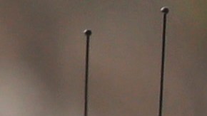 Two San Bernardino County sheriff's deputies stand guard near the area where a shooting took place in Riverside, Calif, Thursday, Feb. 7, 2013. Police launched a massive manhunt for a former Los Angeles officer suspected of going on a killing spree, slaying a couple over the weekend, opening fire on two Los Angeles officers early Thursday and then ambushing two other police officers, killing one. (AP Photo/Jae C. Hong)