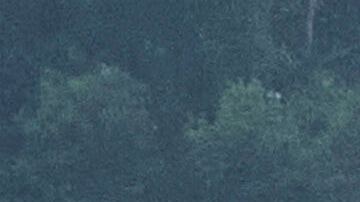 New homes are built next to burned homes at La Viña gated community adjacent to the Chaney Trail Corridor, in an area affected by the Eaton Fire, in Altadena, Calif., on Wednesday, April 23, 2025. (AP Photo/Damian Dovarganes)
