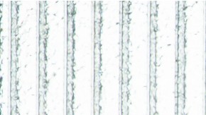 Las autoridades quieren crear un algoritmo que analice a millones de personas e identifique a los potenciales asesinos para poder prevenir crímenes