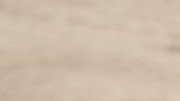 La mujer supuestamente experimentó con partes de cuerpo humano amputadas.