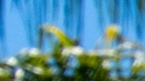 Big Lots abrirá más de 130 tiendas en mayo