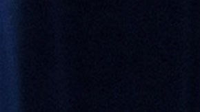 Byron Donalds, aspirante a gobernador de Florida