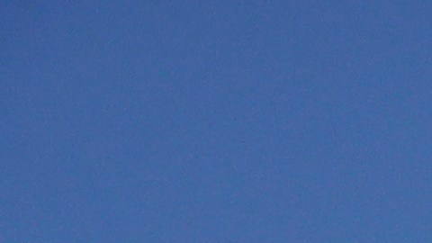 Students sit on the lawn near Royce Hall at UCLA Thursday, April 25, 2019, in the Westwood section of Los Angeles. Hundreds of students and staff at two Los Angeles universities, including UCLA, have been placed under quarantine because they may have been exposed to measles. Officials say the people affected by the order either have not been vaccinated or cannot verify that they are immune. (AP Photo/Jae C. Hong)