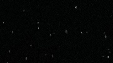 Canelo Álvarez y Dmitry Bivol en su primera pelea.