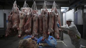Distribución de carne de puerco en Estados Unidos