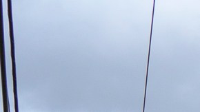 Miles de trabajadores marchan en Delano, California.