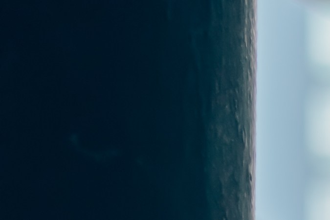 Economistas de Allianz pronostica despidos masivos por aranceles de Trump