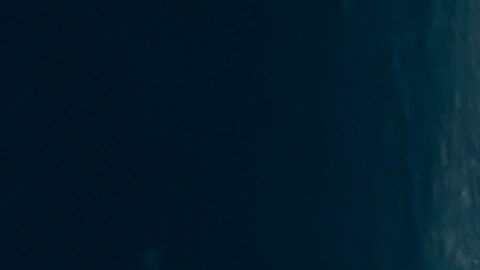 Economistas de Allianz pronostica despidos masivos por aranceles de Trump