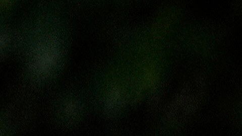 La finalización de este programa tendría un impacto considerable en miles de inmigrantes.