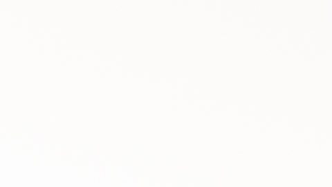 El entrenador en jefe Sean McVay y el gerente general Les Snead posan con personal del Departamento de Bomberos de Los Ángeles en las instalaciones de Operaciones Aéreas del LAFD.