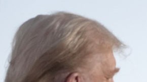 Donald Trump y Elon Musk