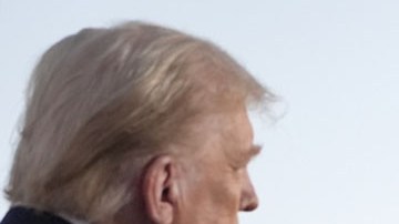 Donald Trump y Elon Musk