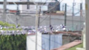 Engrillados en Atlixco, Puebla.